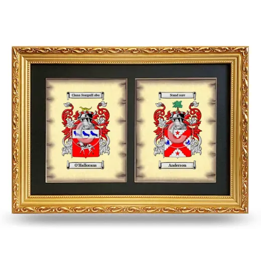 Double Coat of Arms Framed - Gold