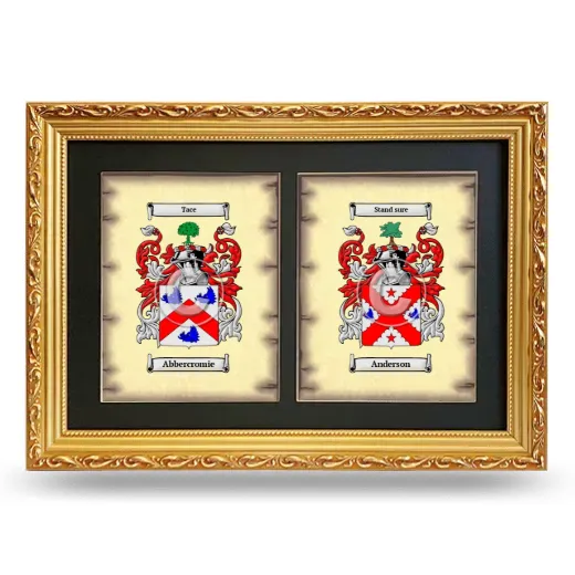 Double Coat of Arms Framed - Gold