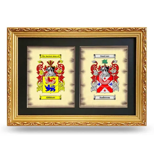 Double Coat of Arms Framed - Gold