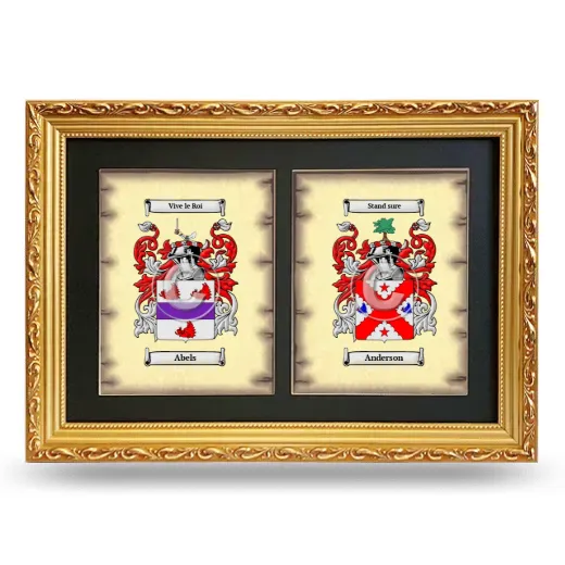 Double Coat of Arms Framed - Gold