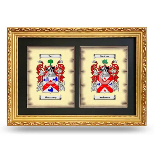 Double Coat of Arms Framed - Gold