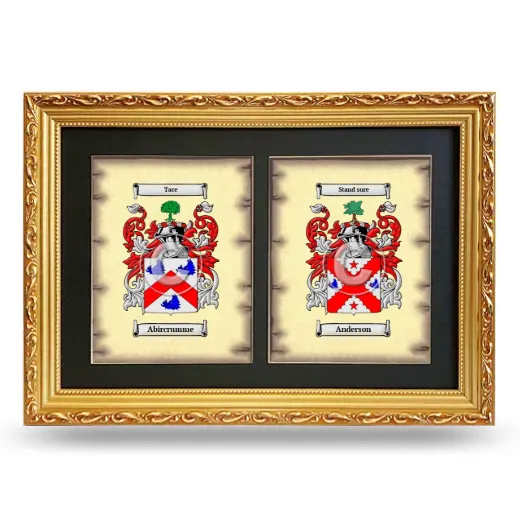 Double Coat of Arms Framed - Gold