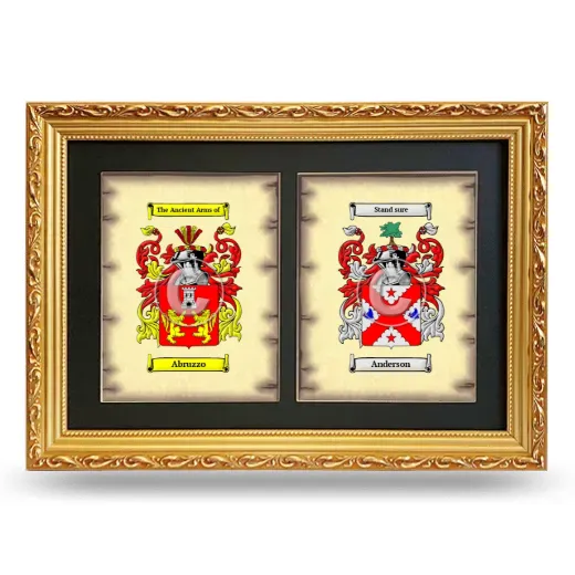 Double Coat of Arms Framed - Gold