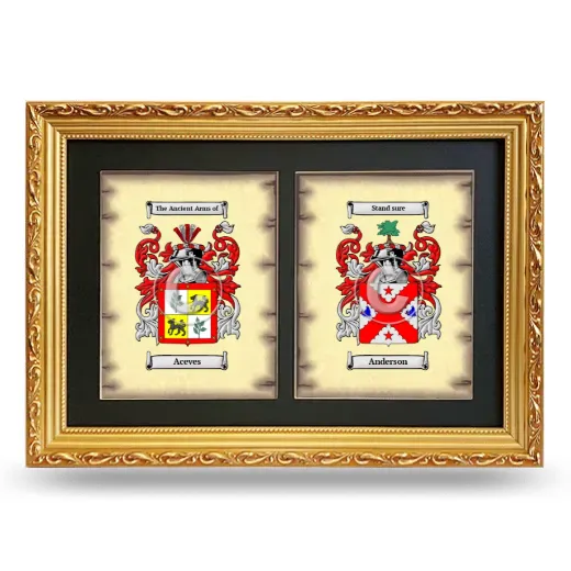 Double Coat of Arms Framed - Gold