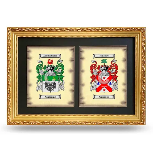 Double Coat of Arms Framed - Gold