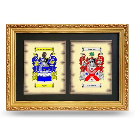 Double Coat of Arms Framed - Gold