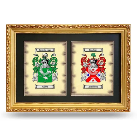 Double Coat of Arms Framed - Gold