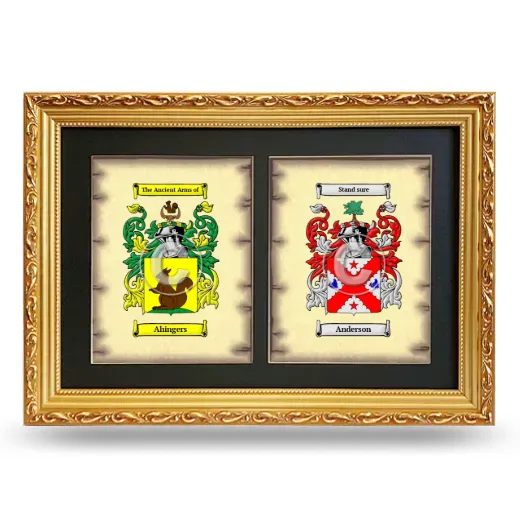 Double Coat of Arms Framed - Gold
