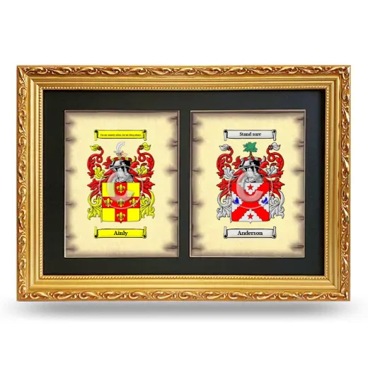Double Coat of Arms Framed - Gold