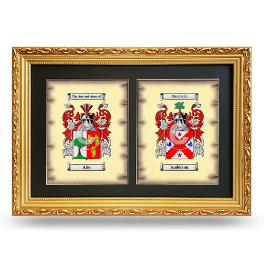 Double Coat of Arms Framed - Gold