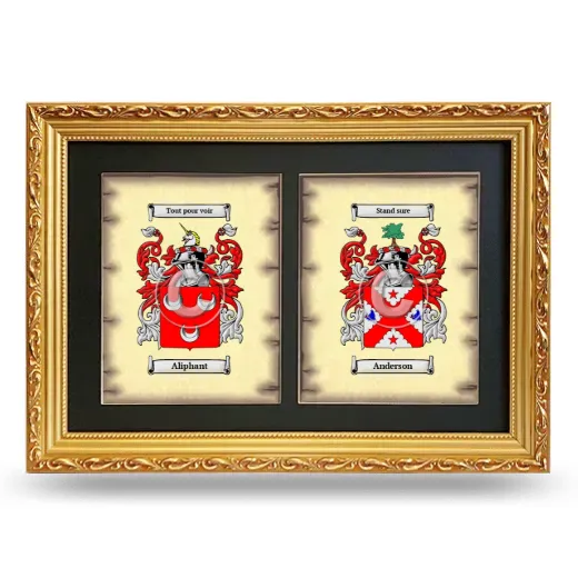 Double Coat of Arms Framed - Gold