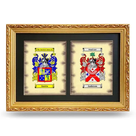 Double Coat of Arms Framed - Gold