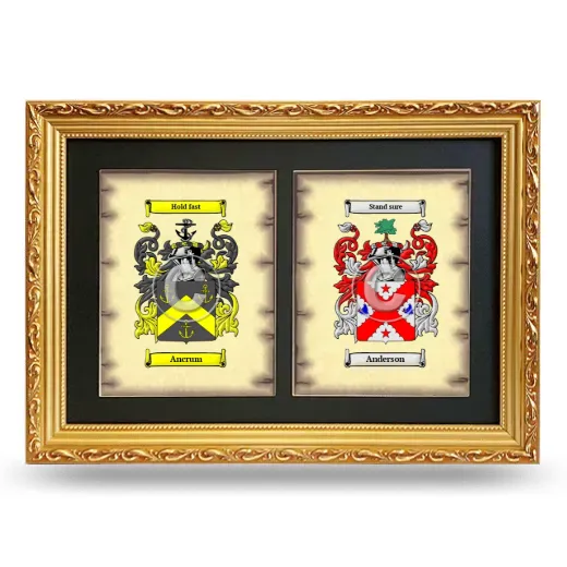 Double Coat of Arms Framed - Gold