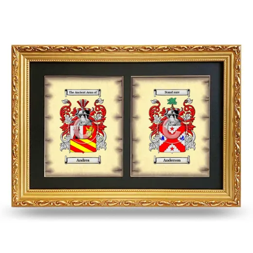 Double Coat of Arms Framed - Gold