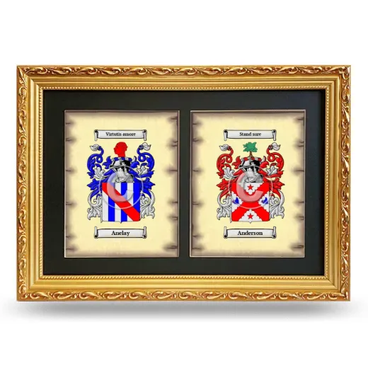 Double Coat of Arms Framed - Gold