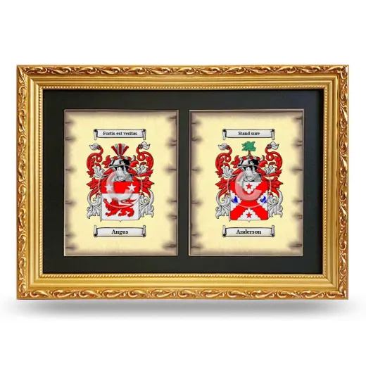 Double Coat of Arms Framed - Gold