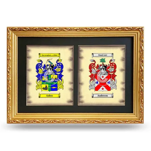 Double Coat of Arms Framed - Gold