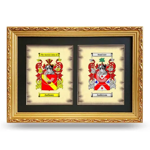 Double Coat of Arms Framed - Gold