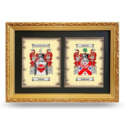 Double Coat of Arms Framed - Gold