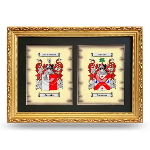 Double Coat of Arms Framed - Gold