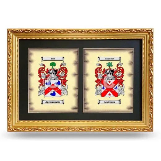 Double Coat of Arms Framed - Gold