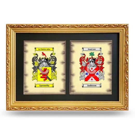 Double Coat of Arms Framed - Gold