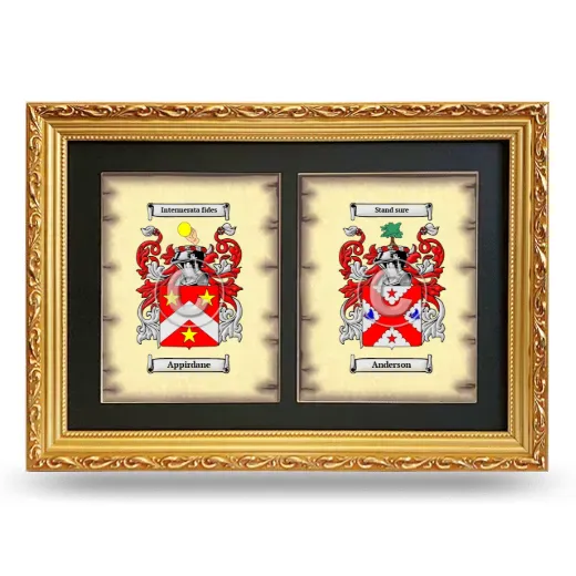 Double Coat of Arms Framed - Gold