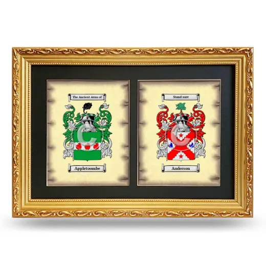 Double Coat of Arms Framed - Gold
