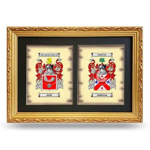 Double Coat of Arms Framed - Gold