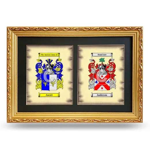 Double Coat of Arms Framed - Gold