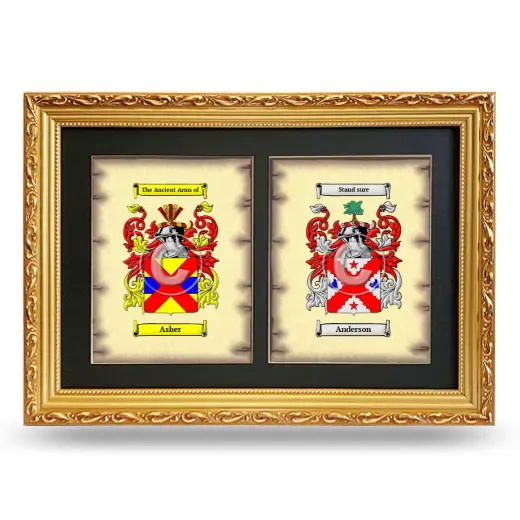 Double Coat of Arms Framed - Gold
