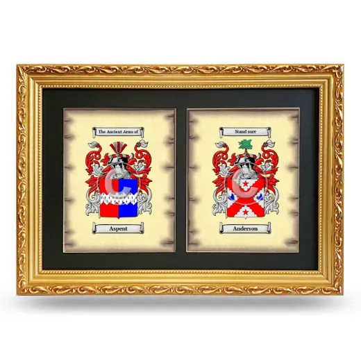 Double Coat of Arms Framed - Gold