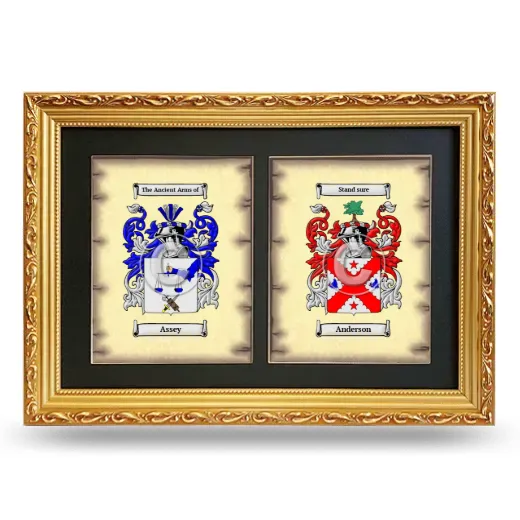 Double Coat of Arms Framed - Gold