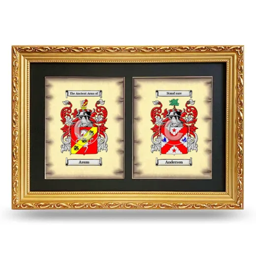 Double Coat of Arms Framed - Gold