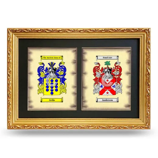 Double Coat of Arms Framed - Gold