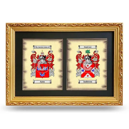 Double Coat of Arms Framed - Gold