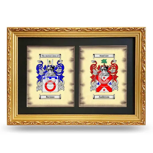 Double Coat of Arms Framed - Gold