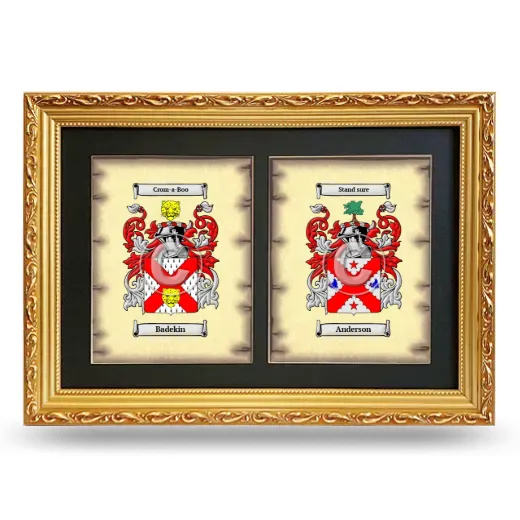 Double Coat of Arms Framed - Gold