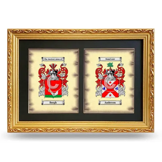 Double Coat of Arms Framed - Gold