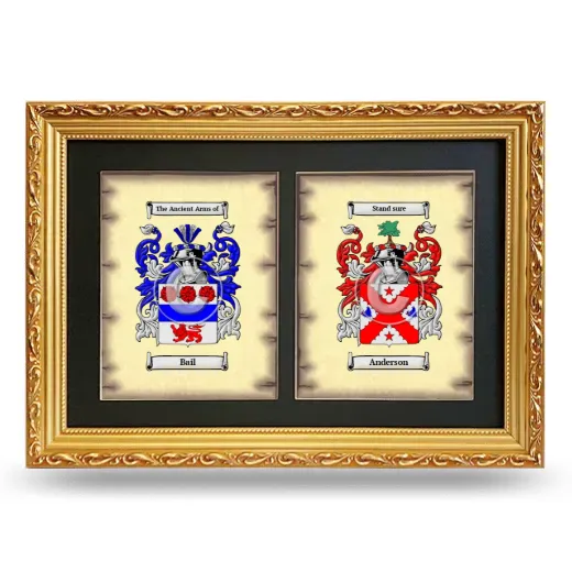 Double Coat of Arms Framed - Gold