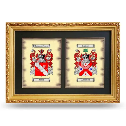 Double Coat of Arms Framed - Gold
