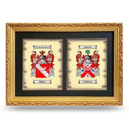 Double Coat of Arms Framed - Gold