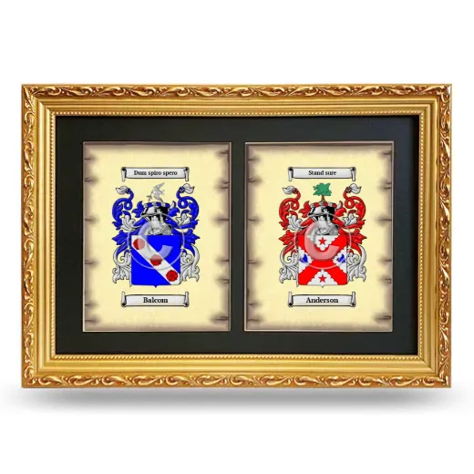 Double Coat of Arms Framed - Gold