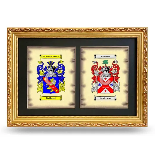 Double Coat of Arms Framed - Gold