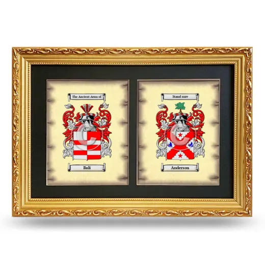 Double Coat of Arms Framed - Gold