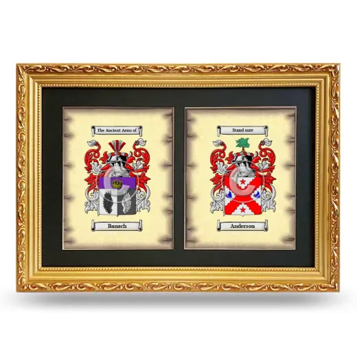 Double Coat of Arms Framed - Gold