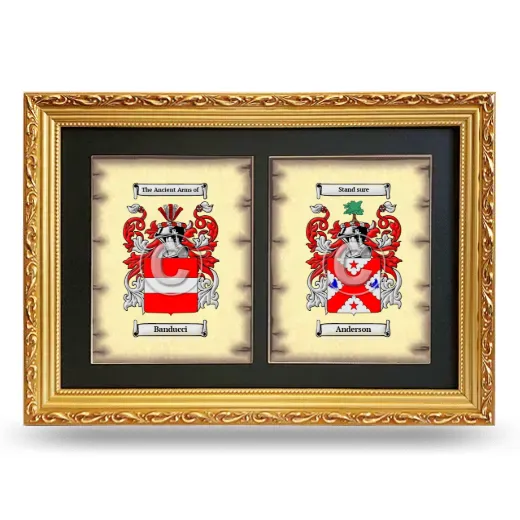 Double Coat of Arms Framed - Gold