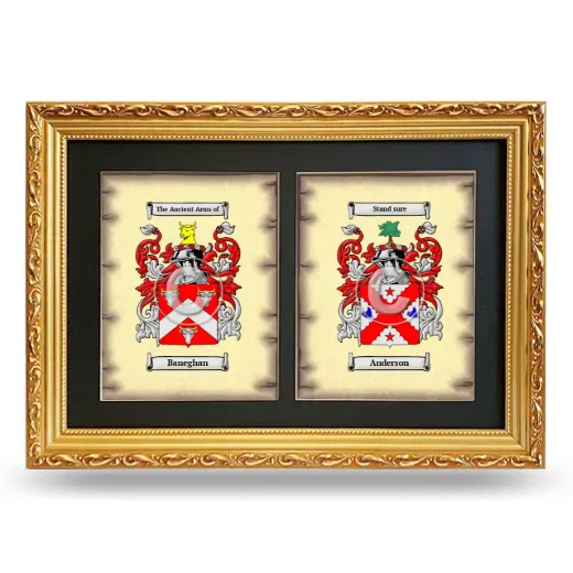 Double Coat of Arms Framed - Gold