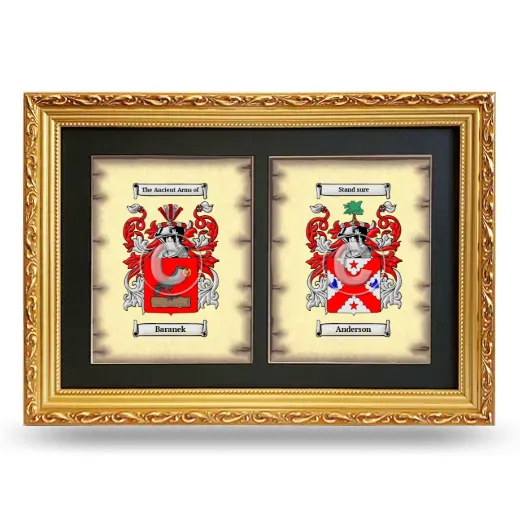 Double Coat of Arms Framed - Gold
