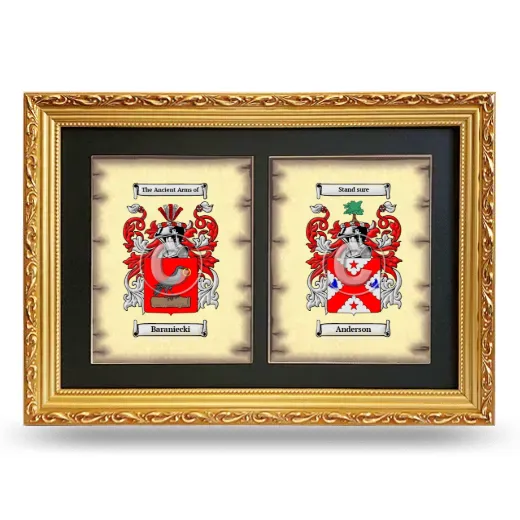 Double Coat of Arms Framed - Gold